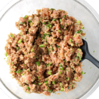 Ahi-Tuna-Burgers-ingredients-mixed-3-vmake