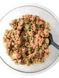 Ahi-Tuna-Burgers-ingredients-mixed-3-vmake